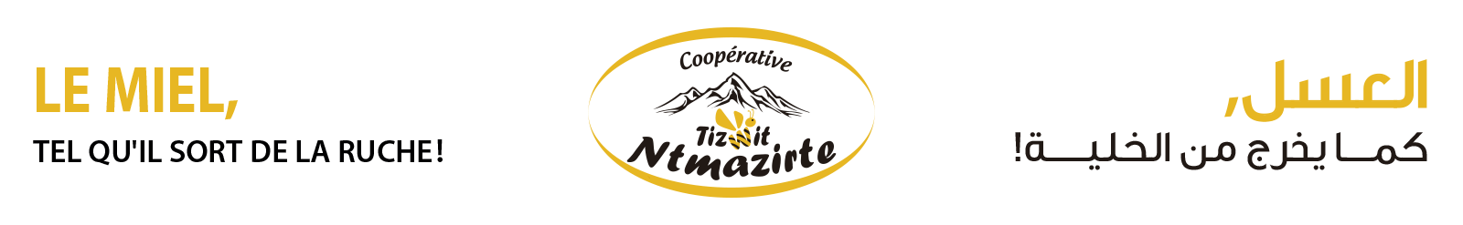 Miel cooperative apicole Tizwit Ntmazirte